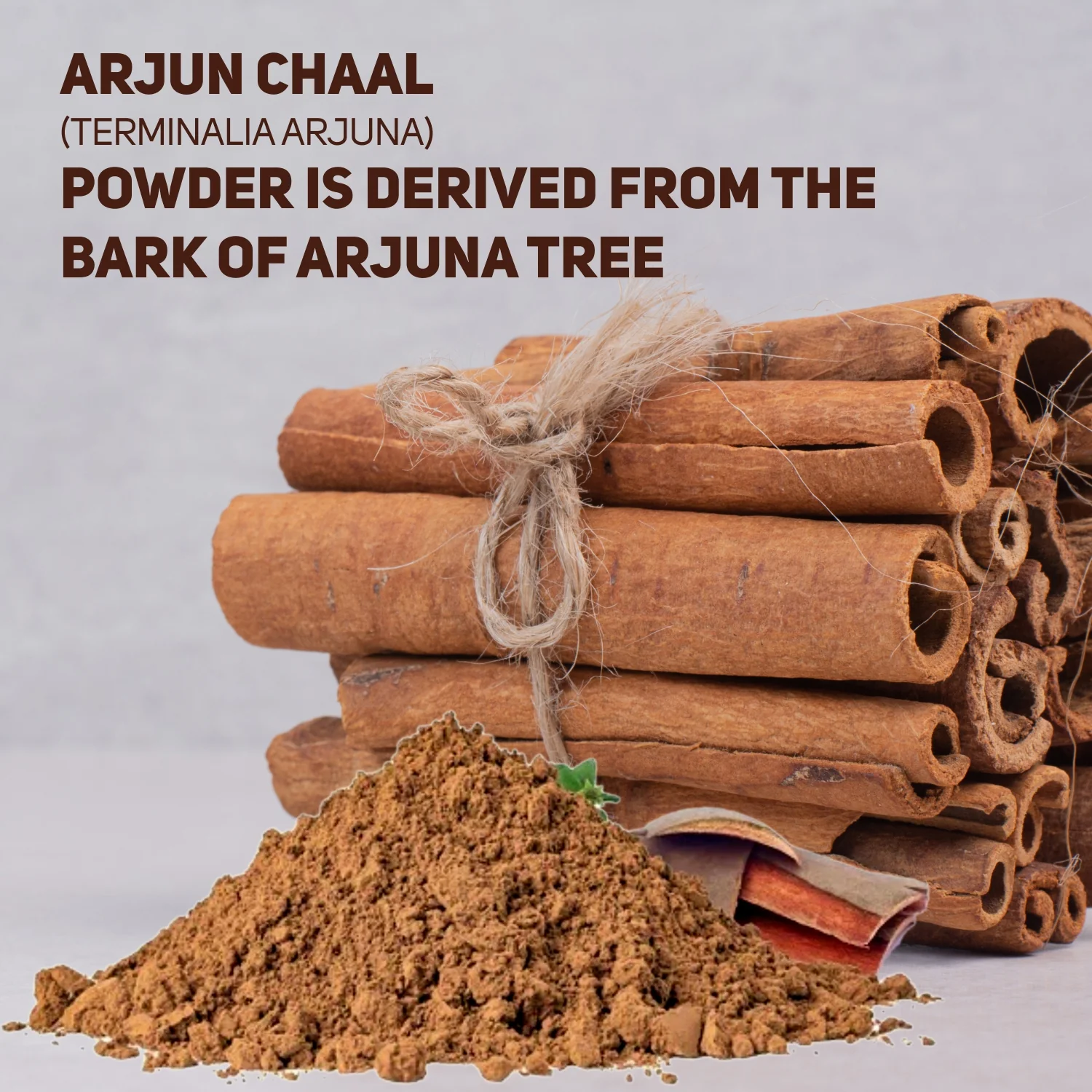 Vegetal Arjun Twak Churna | 100% Pure Arjuna Bark Powder | Heart Wellness, Cardiac Support, Blood Pressure & Cholesterol Care | Antioxidant-Rich Herbal Supplement (180g) - Image 3