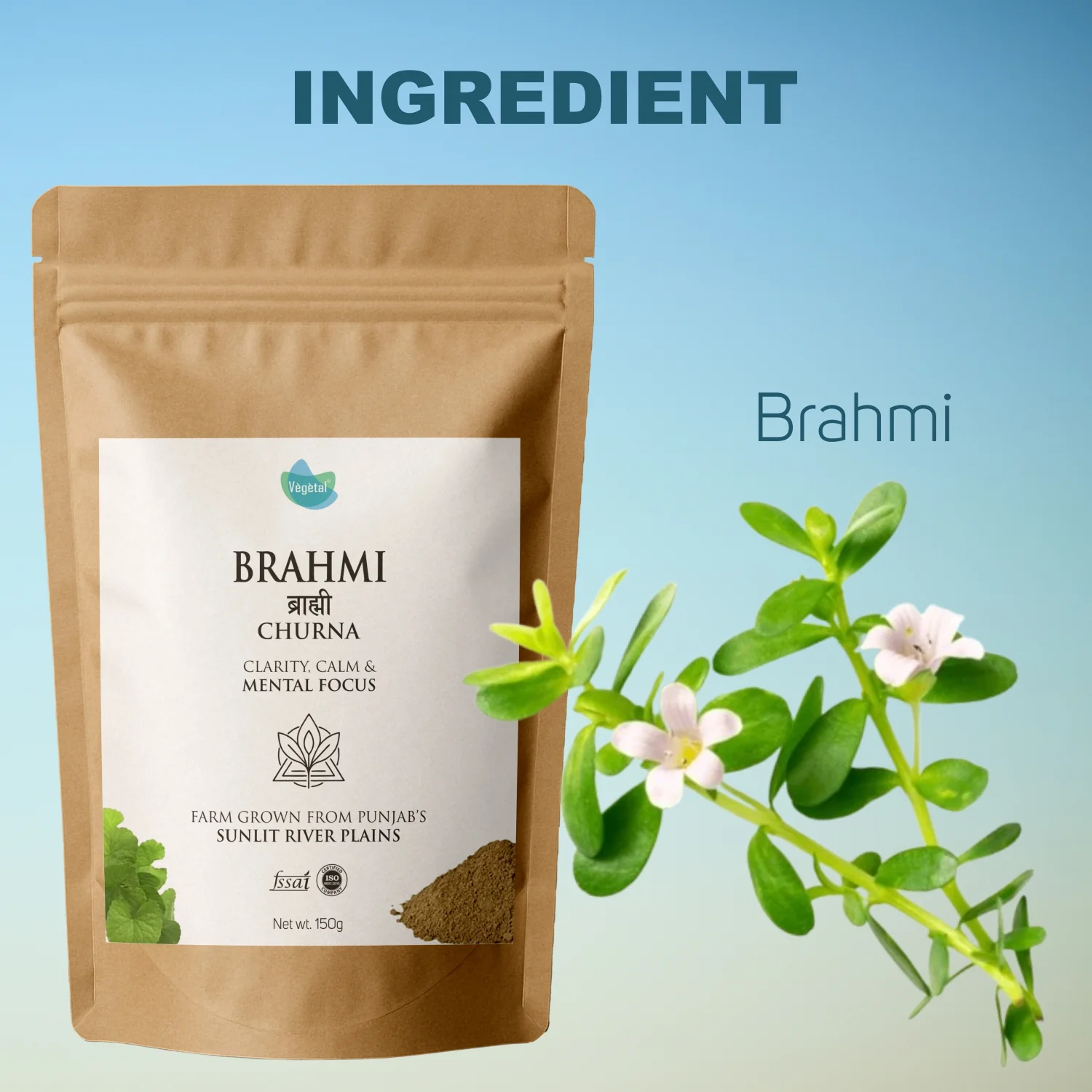 Vegetal Brahmi Churna Powder 150g | Natural Memory Booster, Mental Calm, Focus & Clarity | Nervous System Support | 100% Pure & Natural Herbal Supplement - Image 4