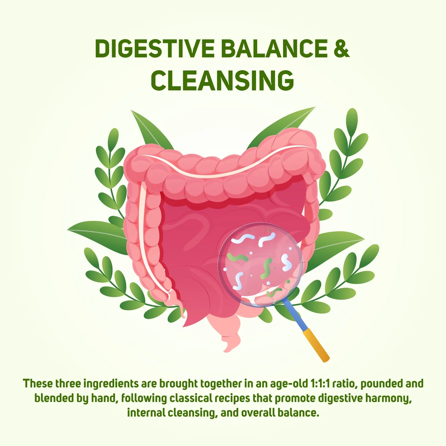 Vegetal Herbal Triphala Churna - Digestive Balance & Cleansing Powder, Ayurvedic Medicine for Gut Health & Detox Support, 180g - Image 3