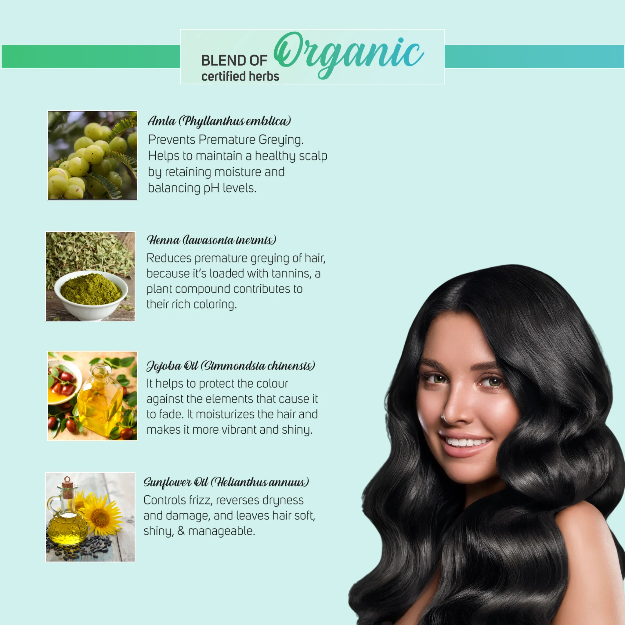 Vegetal Safe Color+ Soft Black - Permanent Gel Hair Color - Image 3