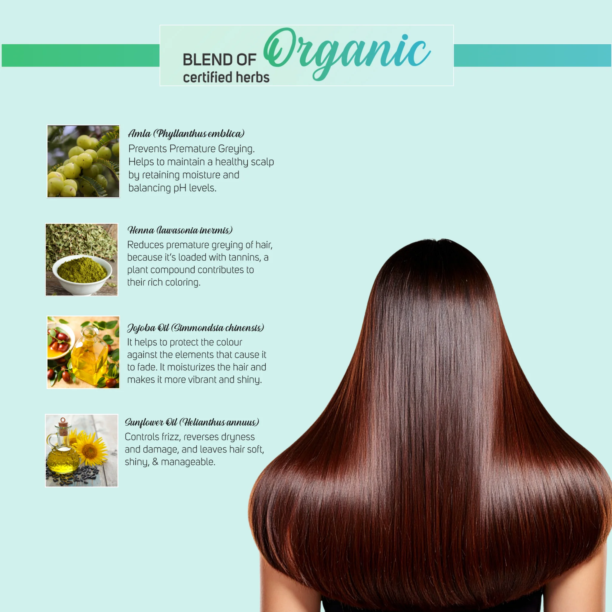 Vegetal Safe & Organic Hair Gel Color - Dark Brown - Image 3